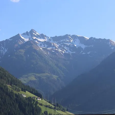Seber * Stuhlfelden