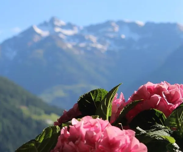 Διαμέρισμα Seber *