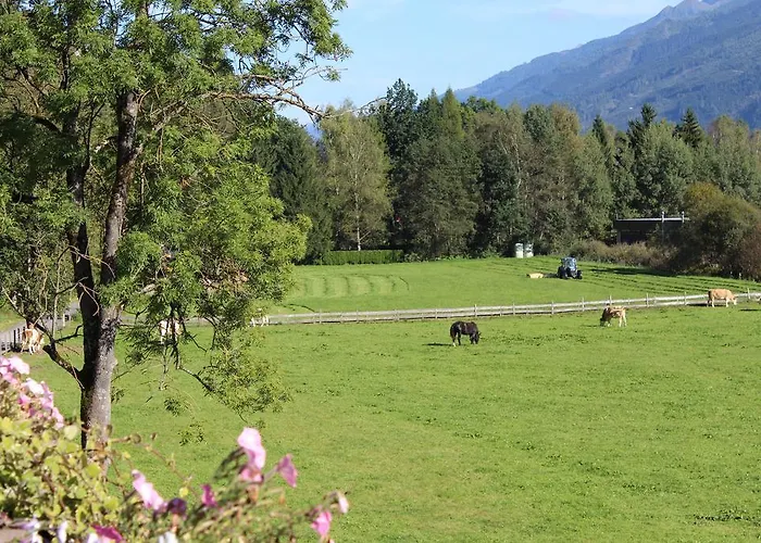 Διαμέρισμα Seber *